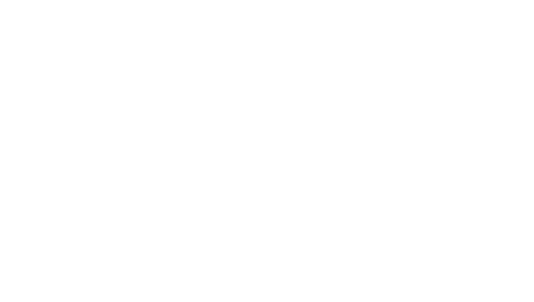 Pluss Technologies - White logo